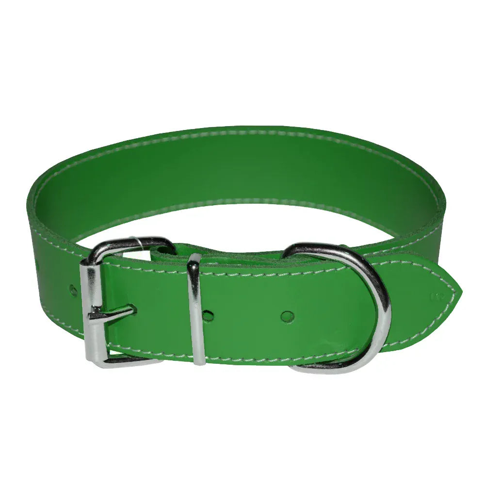 4DOG Zgarda caini Zgardă Câini 4DOG MF.09491 | Verde