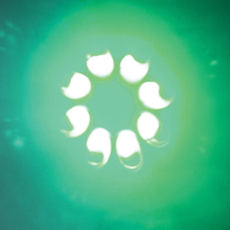 75ce264fa3c7dc66b865781562645417