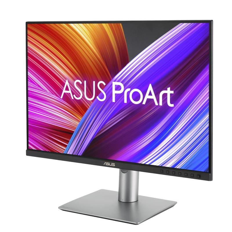 Asus Monitor ASUS ProArt PA248CRV (90LM05K0-B01K70)