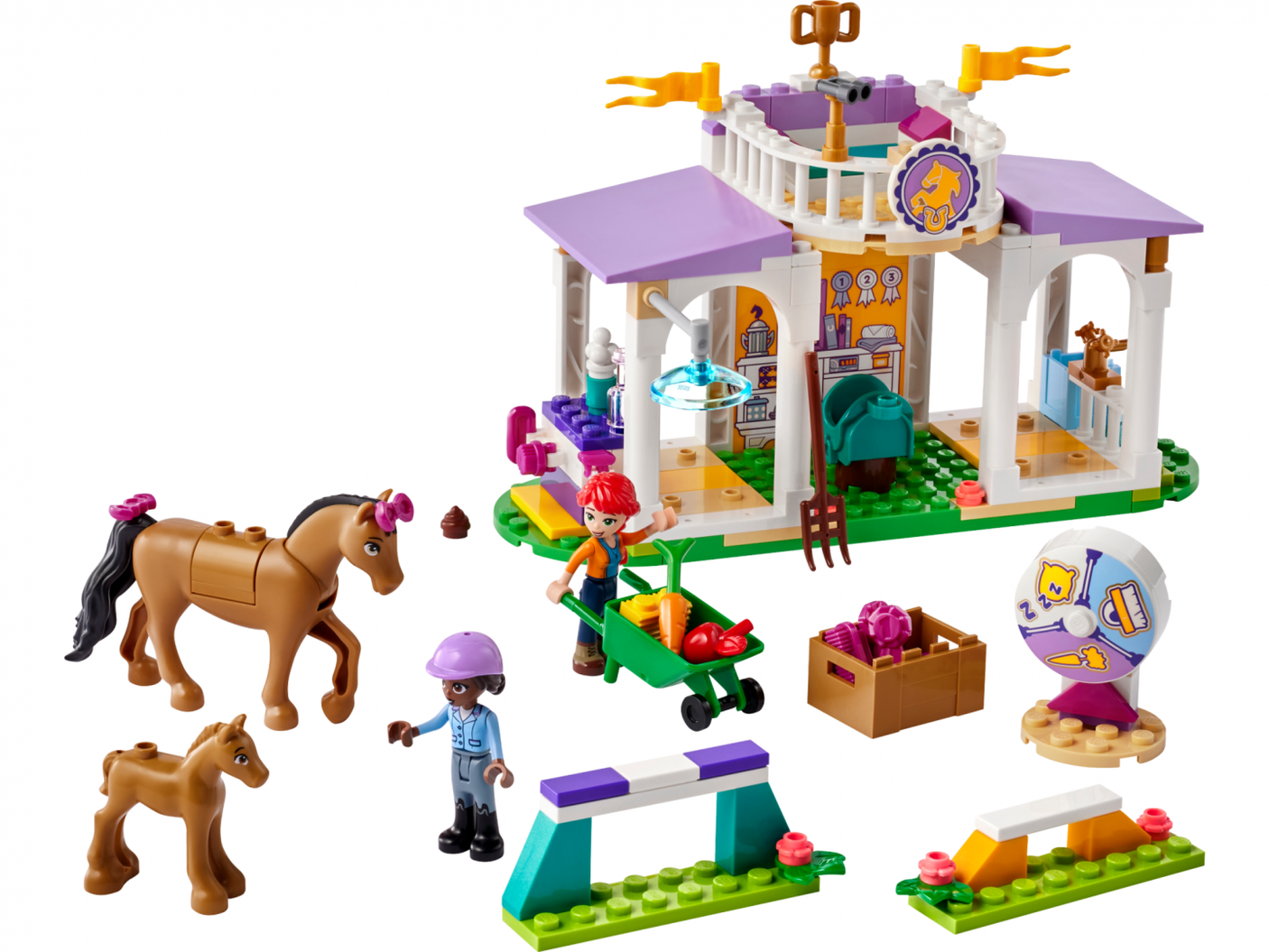 Dresaj de Cai, 41746 Lego
