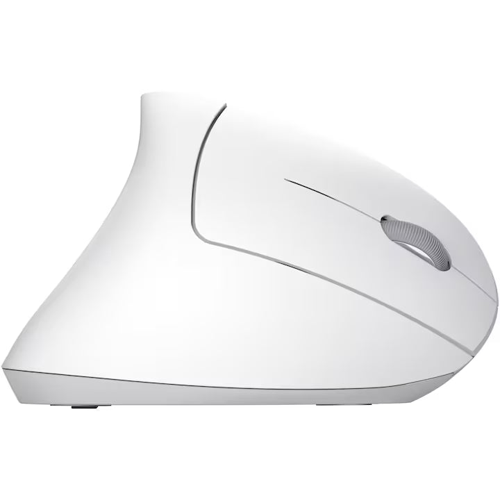 Trust Mouse Mouse Trust 25133 | AA, Gri, Wireless