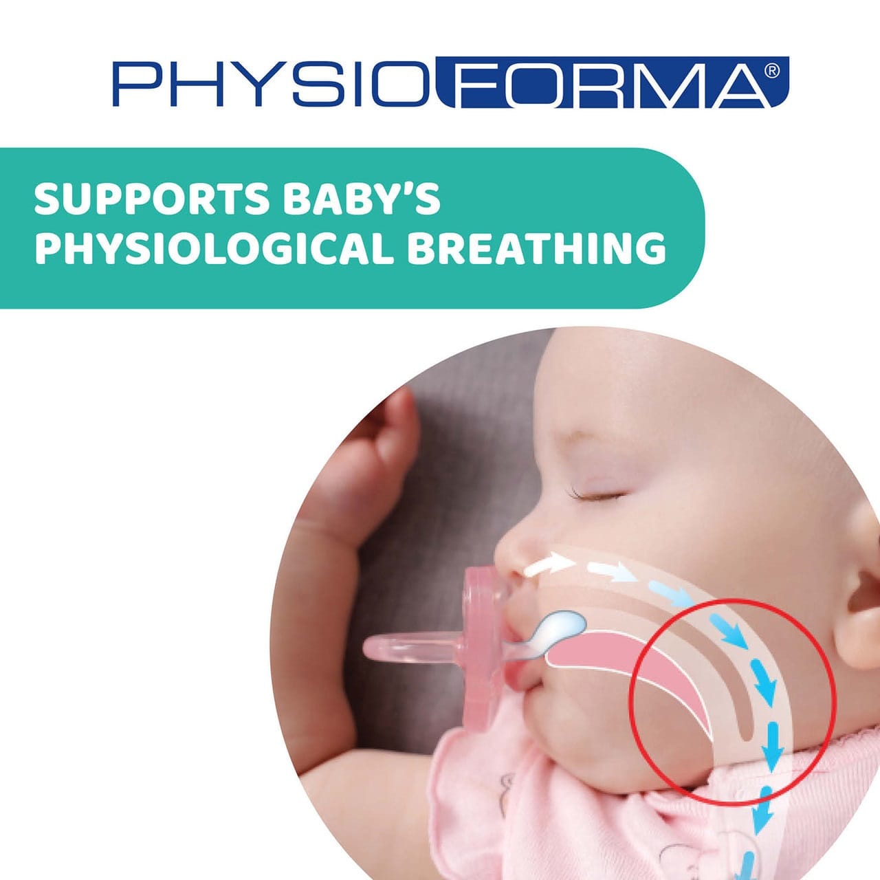 Chicco Alimentație bebe Suzeta Chicco Physiosoft 7309196-7 | Anatomica, Silicon, Bleu, 16-36 luni