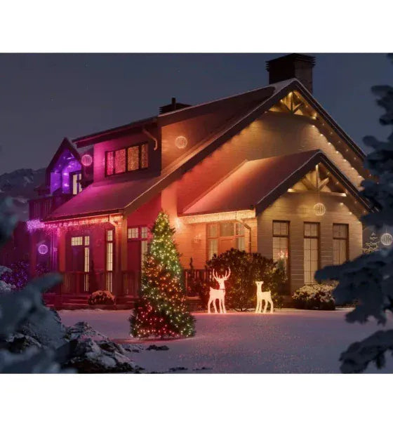 Twinkly Figurina decorativa 3D Twinkly 3D Reindeers - Doe Reindeer 200 LED RGBW 120 cm