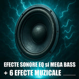 Boxe Samus FIESTA 12 | 300W, 12", Bluetooth, Portabil