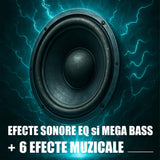 Boxe Samus PHOENIX 15 | 120W, Bluetooth