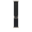 APPLE Apple Watch 49mm Black Alpine Loop - Small - Natural Titanium Finish