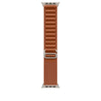 APPLE Apple Watch 49mm Terra Cotta Alpine Loop - Small - Natural Titanium Finish