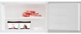 ARCTIC Frigider Frigider Arctic AD54240M40W | 223L, Clasa E, Garden Fresh, Mix Zone, LED, 54x57.4x146.5cm