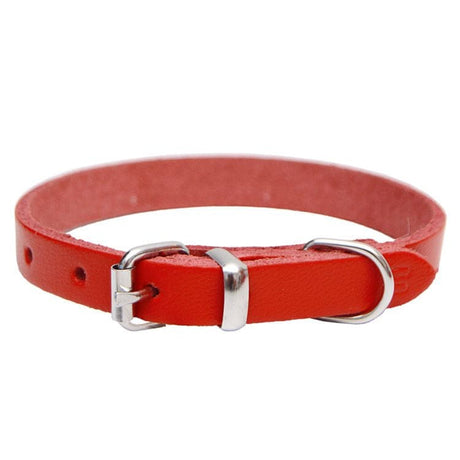 4DOG Zgarda caini Zgardă Câini 4DOG MF.03856