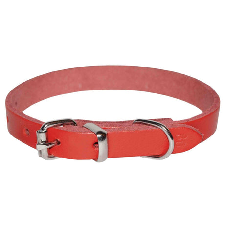 4DOG Zgarda caini Zgardă Câini 4DOG MF.03864 | Roșu