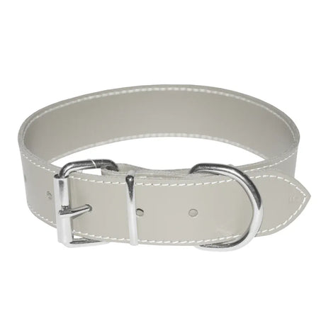 4DOG Zgarda caini Zgardă Câini 4DOG MF.09492 | Alb