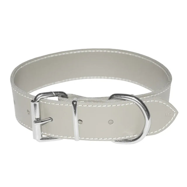 4DOG Zgarda caini Zgardă Câini 4DOG MF.09492 | Alb