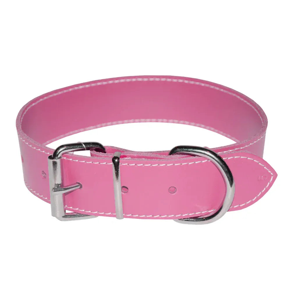 4DOG Zgarda caini Zgardă Câini 4DOG MF.09493