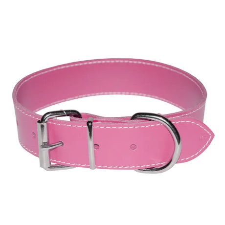 4DOG Zgarda caini Zgardă Câini 4DOG MF.09493