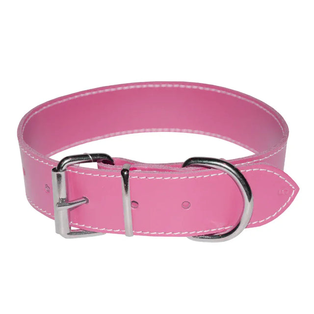 4DOG Zgarda caini Zgardă Câini 4DOG MF.09493