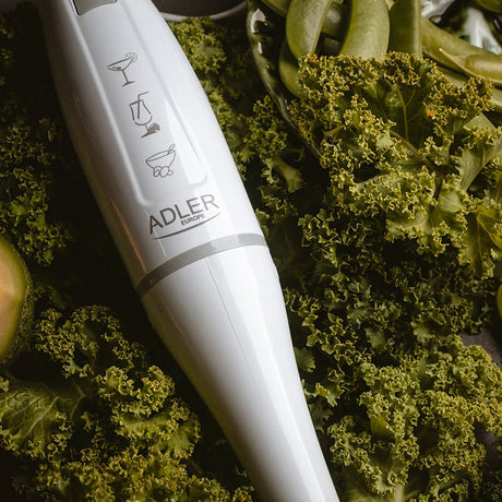 Adler Blender Blender Adler AD4622 | 200W, Manual