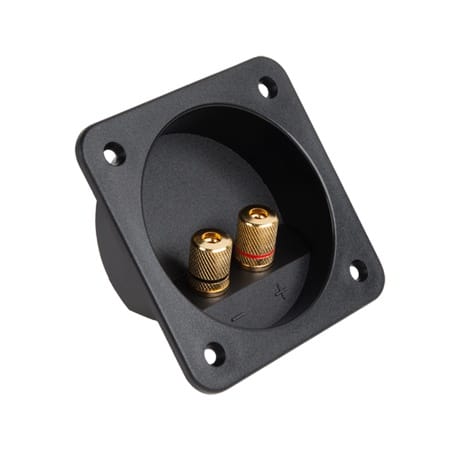 Lechpol Conector Conector Boxa Lechpol GNI0241 | 2 Banane, Auriu