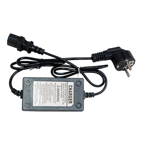 Ruris Pulverizator Pulverizator electric RURIS RSE 1200 | Tip acționare Motor electric, Volum bazin 12l, Baterie 12V 8 Ah