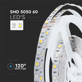 e90764e01961e82cfed7a770b70844c2