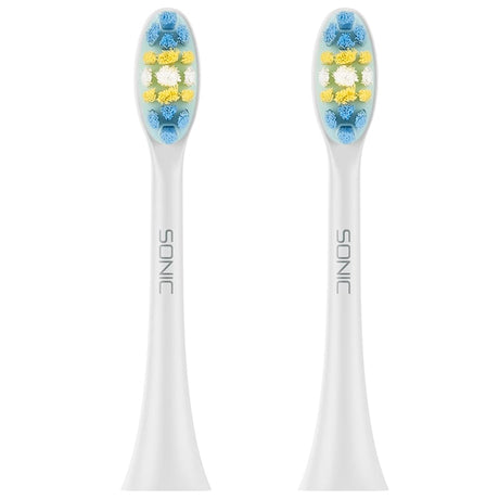 Teesa SET 2 REZERVE PERIUTA DE DINTI TSA8087-W
