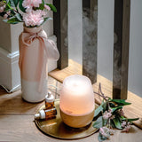 Adler Difuzor de Ulei Difuzor de Ulei Adler AD7967 | 130ml