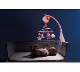 Carusel Muzical Chicco Next 2 Dreams, Roz, 0luni+