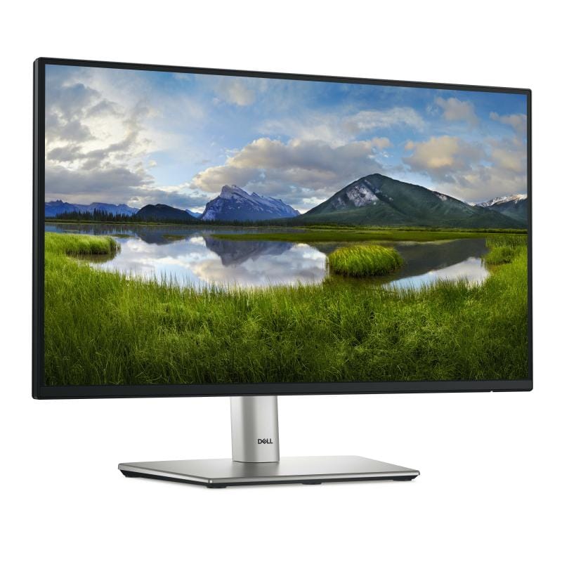 DELL Dell Monitor P2225H (DELL-P2225H)