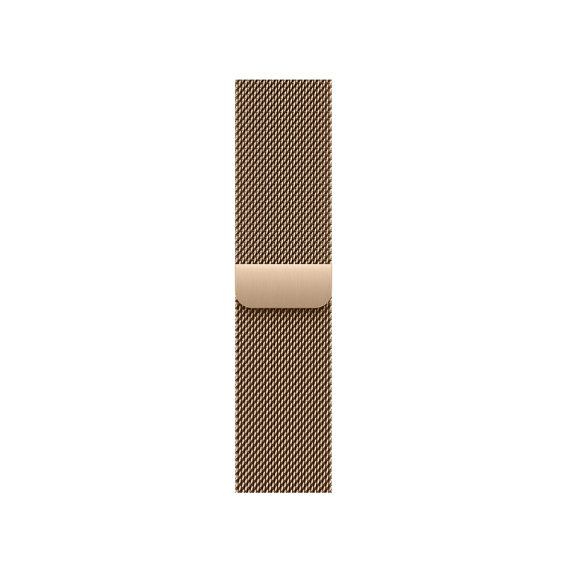 APPLE Apple Watch 40mm Gold Milanese Loop