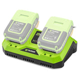 Fieldmann Incarcator acumulatori Încărcător Fieldmann F-FDUZ79110 | 0.3kg, 20V, Roșu, LED