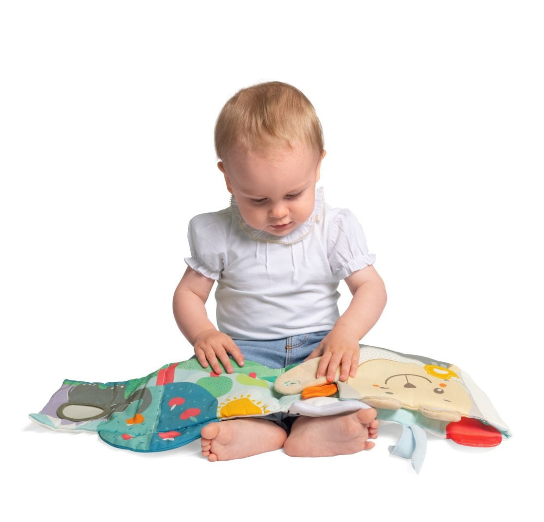 Jucarie Copii Chicco My Soft Doudou Carte Senzoriala, Unisex, 0luni+