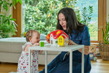 Jucarie de Sortare 2 în 1 Chicco Casuta Abc, Franceza-engleza, 10-36luni