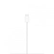 APPLE Apple MagSafe Charger (1 m)