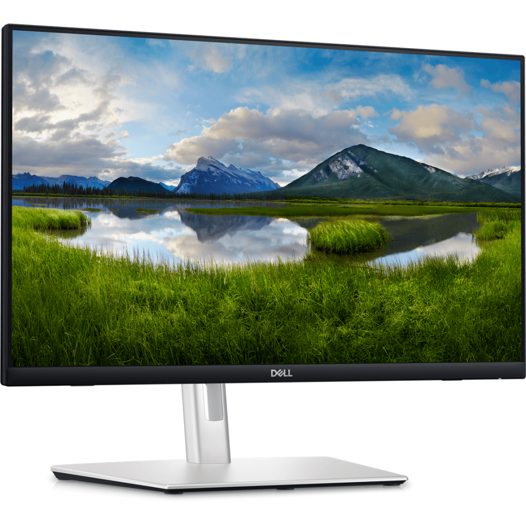 Monitor Dell P2424HT | 24", Full HD, 60Hz, Negru
