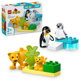 Animale Salbatice: Pinguini și Lei, Lego 10442
