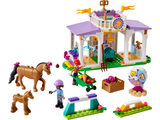 Dresaj de Cai, 41746 Lego