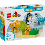 Animale Salbatice: Pinguini și Lei, Lego 10442