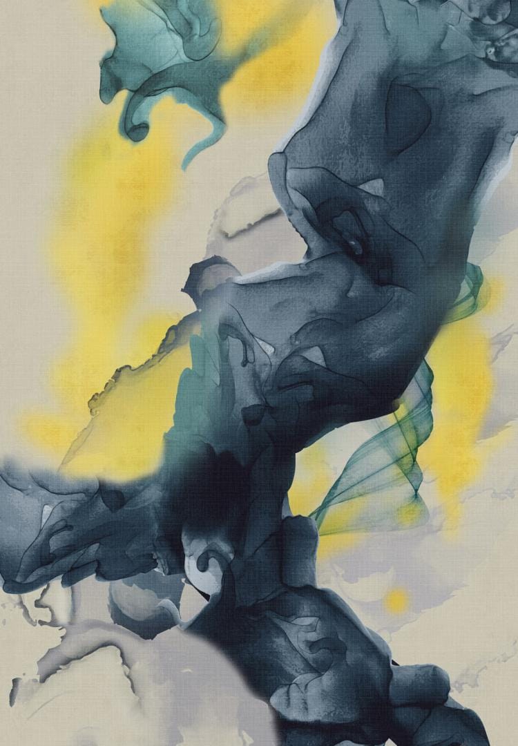 Heinner Covor Covor Heinner HR-3DRUG160-INK | 160x230 cm, Print Digital 3D