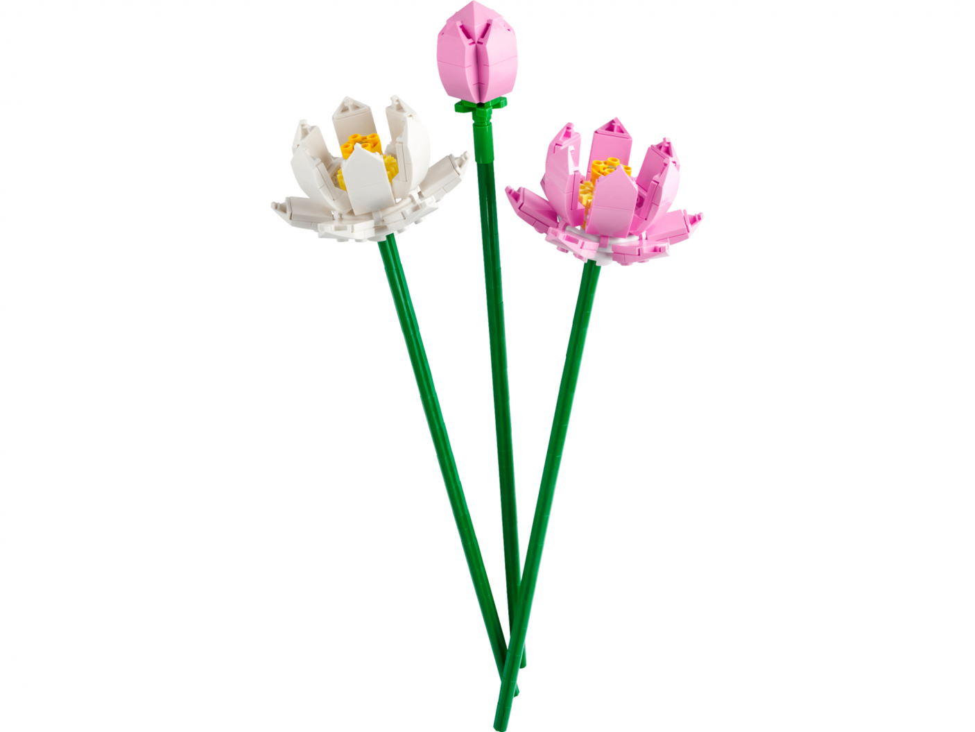 Flori de Lotus, Lego 40647
