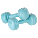 Rebel Accesorii fitness Accesoriu Fitness Rebel RBA-2310 | 1kg