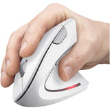 TRUST VERTO ERGO MOUSE WHT